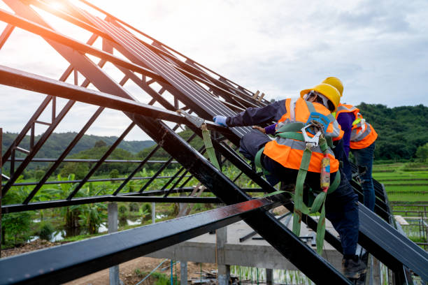 Best Storm Damage Roof Repair  in Allendale, SC