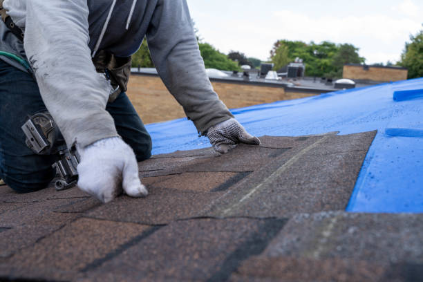 Best Storm Damage Roof Repair  in Allendale, SC